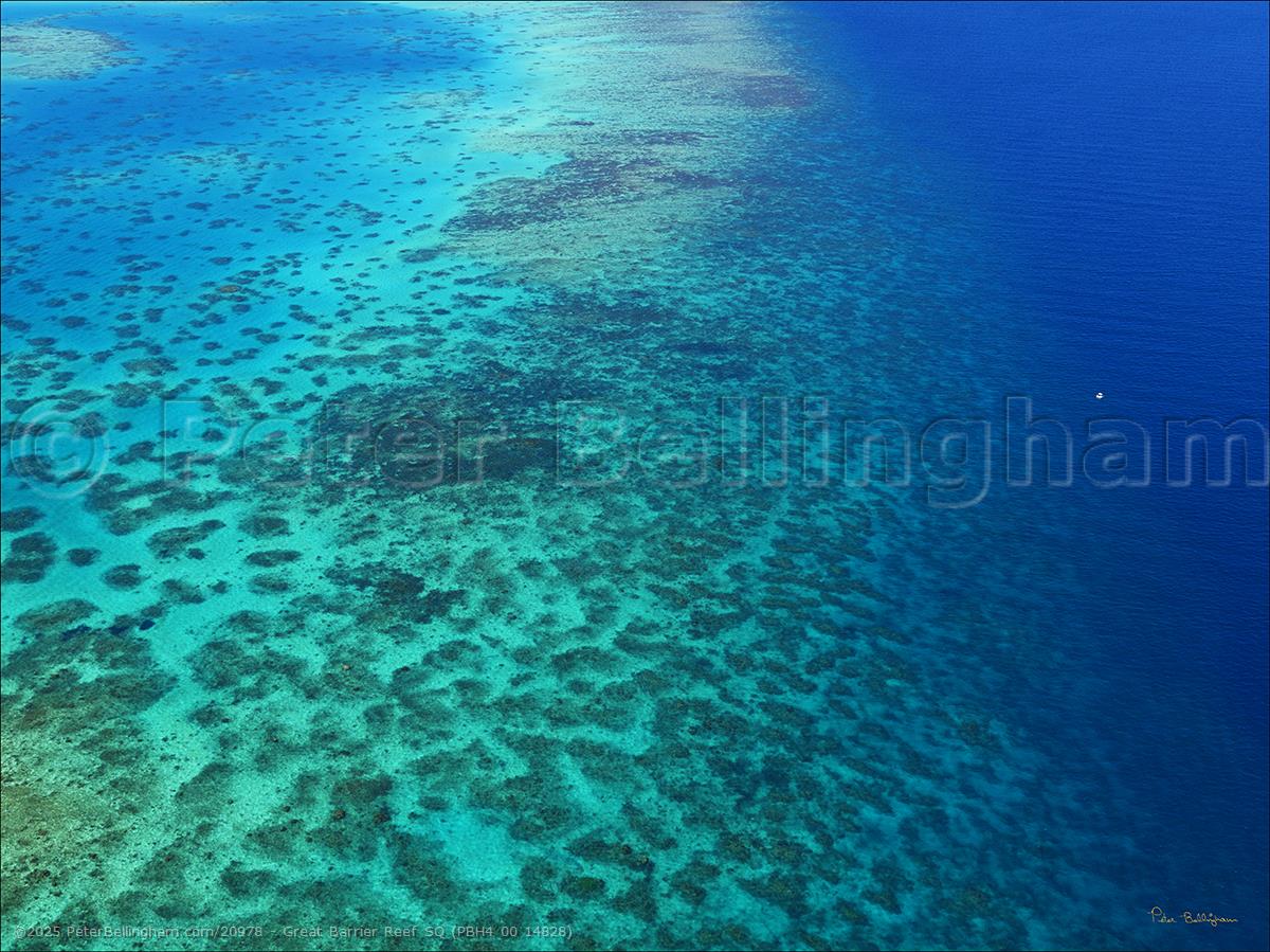 Peter Bellingham Photography Great Barrier Reef SQ (PBH4 00 14828)